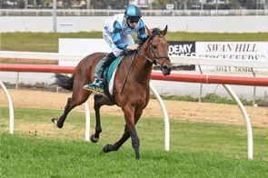 Let's Karaka Deel - Dundeel x Tegwin