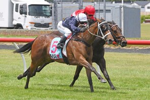 Intention  - Bivouac x Bella Hudood