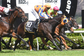 Quintessa - Shamus Award x Chaquinta