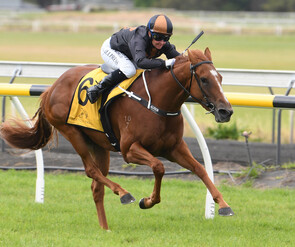 Spine Tingle - Super Easy x Myback