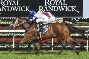 Kolding - Ocean Park x Magic Star