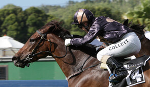 Miss Raggedy Ann - Faltaat x Miss Pollyanna