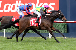 The Chosen One - Savabeel x The Glitzy One