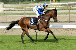 (Sir) Charles Road - Myboycharlie x Giant Mystique