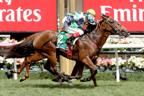 I Am A Star - I Am Invincible x Star Band