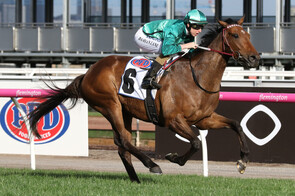 Humidor - Teofilo x Salida