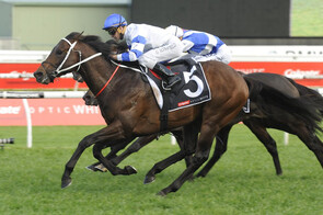 Kermadec - Teofilo x Hy Fuji