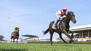 Pushy - Time Test x Angel Child