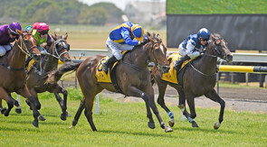 Bonita Aurelia - Sweynesse x Cassie May