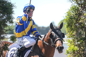 Dragon Storm - Shocking x Prize Lady