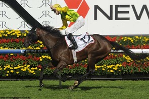 Gust of Wind - Darci Brahma x Starrystarrynight