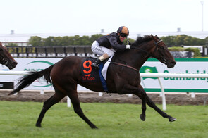 Valley Girl - Mastercraftsman x Leigh Valley