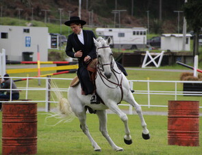 Lusitano