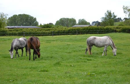 To view more click here