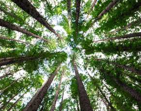 Building Resilience & Mining Pearls of Wisdom - Reflecting on 2021 BECAUSE it was TOUGH!