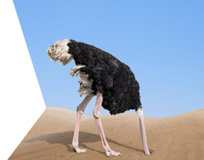 How to Cope - Are You a Headless Chook? Or Have Your Head in the Sand?