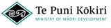Te Puni Kōkiri - ADVISING ON MĀORI WELLBEING AND DEVELOPMENT