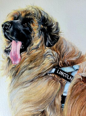 Winston and Bindi Pet Painting Commission Art New Zealand. Caricature pet art. Hyper realistic pet art. Dog and cat commission artwork. Kayla pet paintings. Kaela pet paintings
