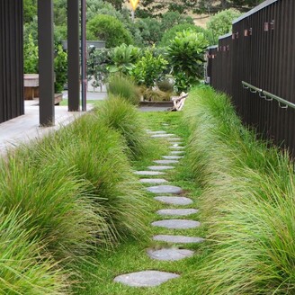 Waimarama Alexia Hamelink - Landscape Designer