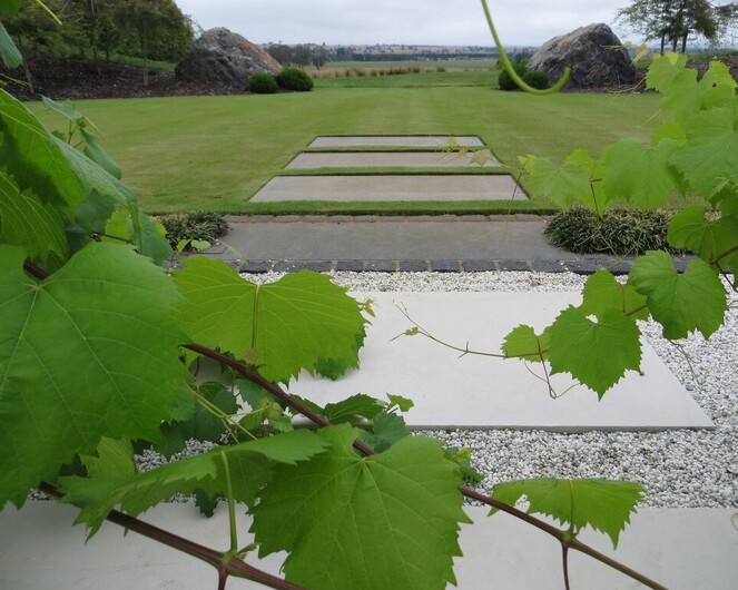 Alexia Hamelink Landscapes