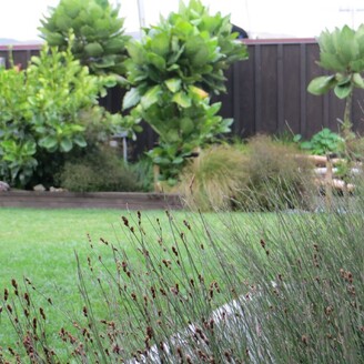 Waimarama - Alexia Hamelink - Landscape Architect