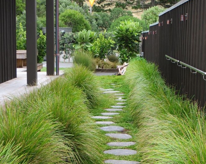 Waimarama Alexia Hamelink - Landscape Designer