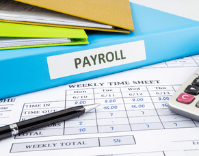 Mastering Payroll Management in New Zealand