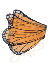 Butterfly Wings - RRP $17.99- - - - - - - - - - - -ADD TO CART >