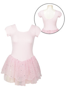 short sleeved ballet leotard dress with embroidered skirt scooped neckline and silver sequin details.