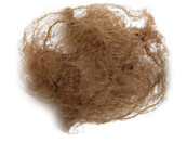 Bun Nets - BLONDE, BROWN or BLACK-PRICE $2.99- - - -  - - - - - - - - - - - -ADD TO CART >