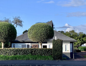 peaceful psychotherapy office