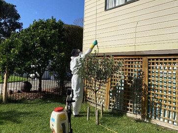 Exterior spraying for Pest Control by Peninsula Pest