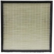Phoenix HEPA Filter GuardianR