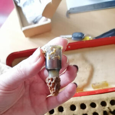 Queen bee grafting tools