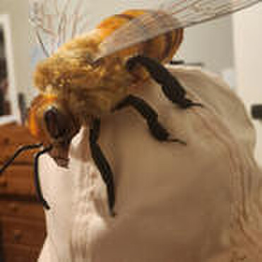 Fabric bee on top of hat
