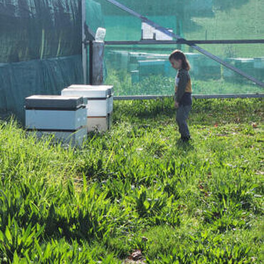 Young boy looking at two hives