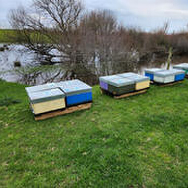 A number of hives along a river