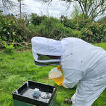 Beekeeper adding sugar syrup to a hive feeder