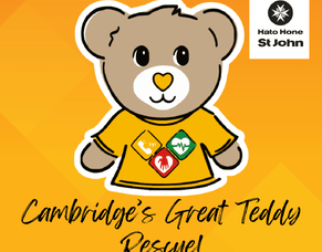 Neighbourhood Support Cambridge Joins the Great Teddy Rescue!
