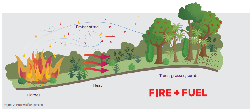 Assess the Flammability of Your Home and Property: A Call to Action for ...