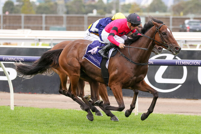 So Unusual makes it four wins straight with a stunning Flemington victory - Photo: Bruno Cannatelli
