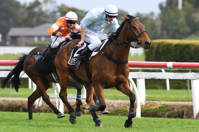 West Coast strides to victory in the Ben and Ryan Foote Great Northern Steeplechase (6500m) under Shaun Fannin.  - Photo: Kenton Wright, Race Images