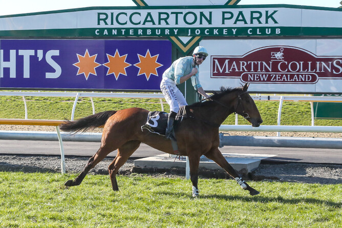 Shaun Fannin celebrates as West Coast takes out the Racecourse Hotel & Motor Lodge 147th Grand National Steeplechase (5600m) at Riccarton - Photo: Race Images South