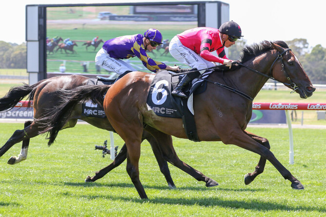 So Unusual cruises to a comfortable victory at Sandown - Photo: Bruno Cannatelli