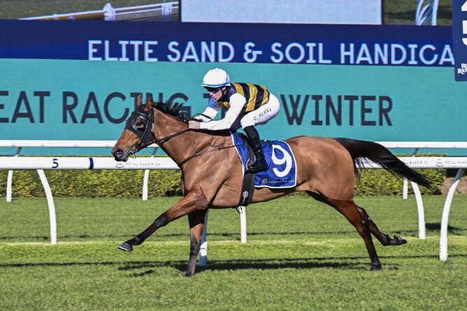 She’s Unusual makes all in the Elite Sand & Soil Handicap at Randwick under a smart front-running ride by Tommy Berry. Photo: bradleyphotos.com.au