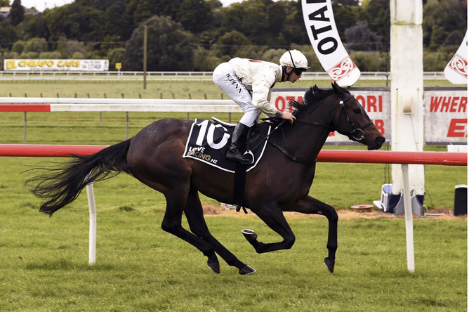 Unusual Culture is showing plenty of promise in Australia.  - Photo: Grant Matthew (Race Images)