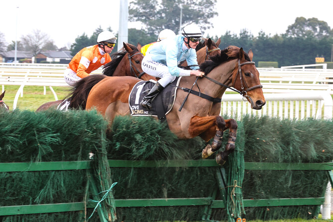 West Coast returns to the Riccarton Park winner's circle after winning the Racecourse Hotel & Motor Lodge Grand National Steeplechase (5600m).   - Photo: Race Images South
