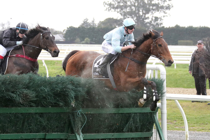 West Coast (inner) clears a fence on his way to victory at Riccarton - Photo credit: Race Images South