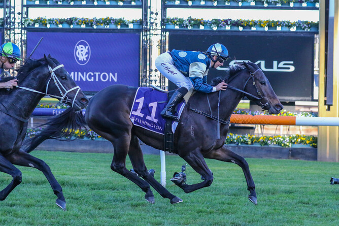 Former Kiwi mare Unusual Culture winning at Flemington on Saturday - Photo: Bruno Cannatelli
