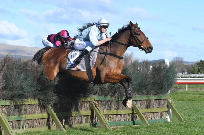 West Coast on his way to winning the AHD-Animal Health Hawke’s Bay Steeplechase (4800m) at Hastings on Saturday. - Photo: Peter Rubery (Race Images Palmerston North)